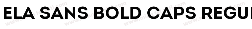 Ela Sans Bold Caps Regular字体转换